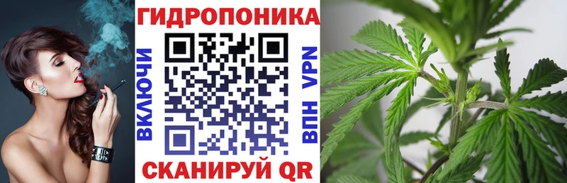 где купить наркоту  Кострома  MEGA сайт  Каннабис планчик 